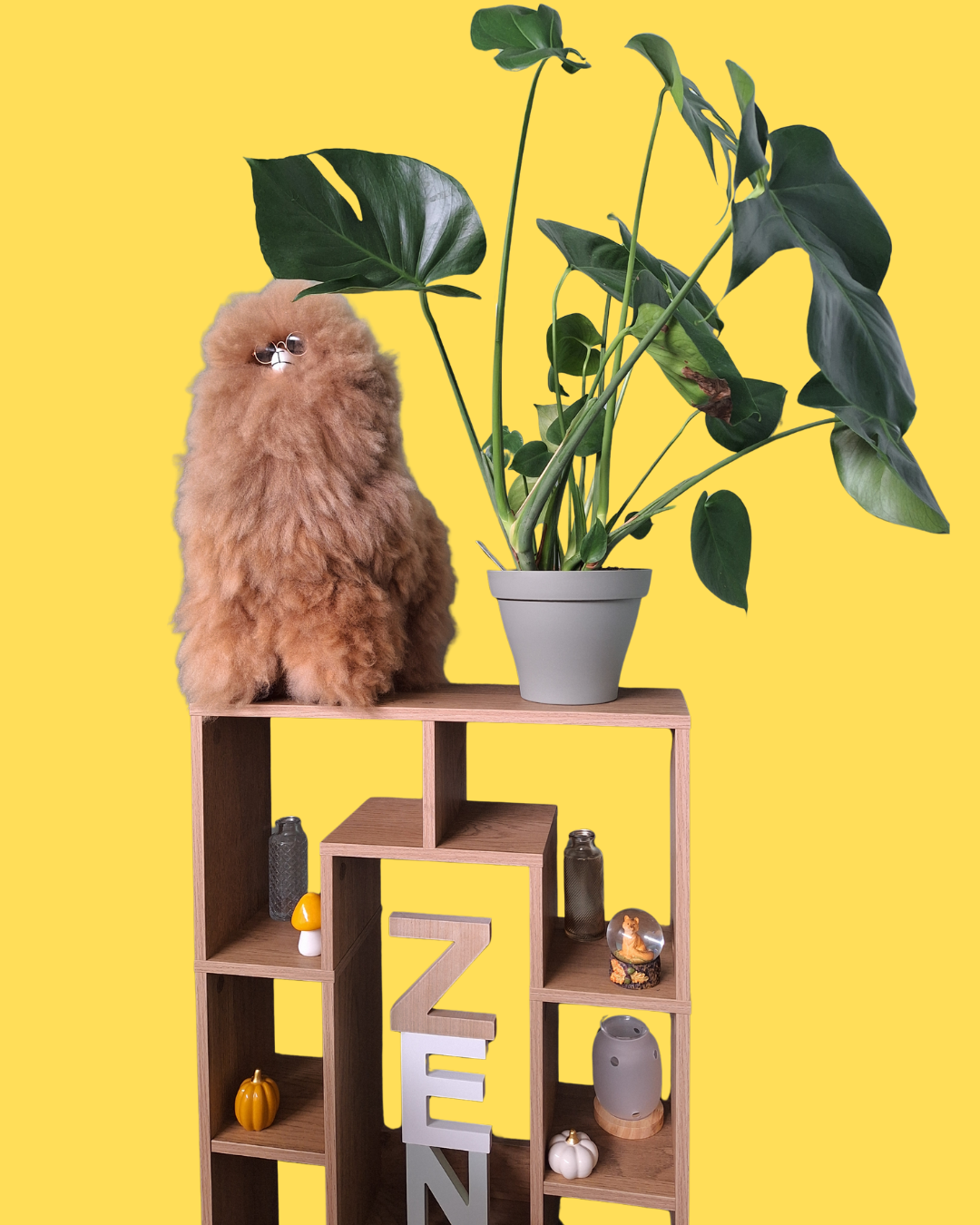 Cabinet de psychologie à Bourges – accompagnement adulte